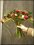 www.floristic.ru - .  ,   ..  .