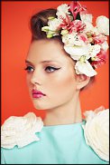 www.floristic.ru - .  ....   .