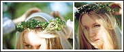 www.floristic.ru - .  ....   .