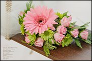 www.floristic.ru - .  ....   .