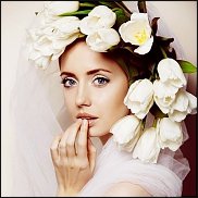 www.floristic.ru - .  ....   .