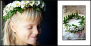 www.floristic.ru - .  ....   .