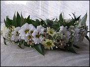 www.floristic.ru - .  ....   .