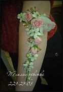 www.floristic.ru - .  ....   .