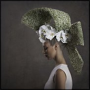 www.floristic.ru - . Gypsóphila-