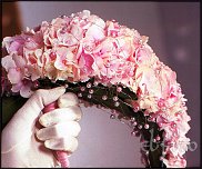 www.floristic.ru - . - !