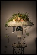 www.floristic.ru - .    (, - )