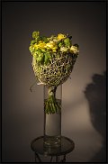 www.floristic.ru - .    (, - )