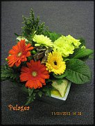 www.floristic.ru - .    ...