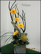 www.floristic.ru - .  