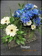 www.floristic.ru - .  