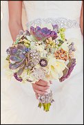 www.floristic.ru - Флористика. Суккуле́нты (Succulentus)