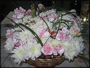 www.floristic.ru - .  