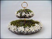 www.floristic.ru - .   