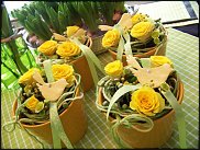 www.floristic.ru - .       - ?