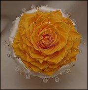 www.floristic.ru - Флористика. Стабилизированные или консервированные растения - аналог искусственных цветов!