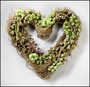 www.floristic.ru - . Moniek Vanden Berghe