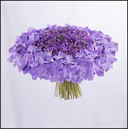 www.floristic.ru - . 