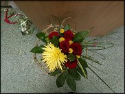 www.floristic.ru - .  .