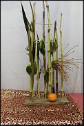 www.floristic.ru - .  