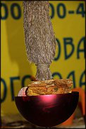 www.floristic.ru - .  