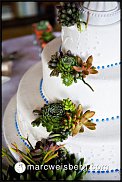 www.floristic.ru - Флористика. Суккуле́нты (Succulentus)