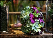 www.floristic.ru - Флористика. Суккуле́нты (Succulentus)