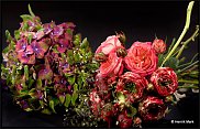 www.floristic.ru - . Tage Andersen