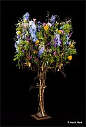 www.floristic.ru - . Tage Andersen