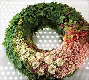 www.floristic.ru - .  ....   .