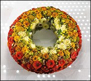 www.floristic.ru - .  ....   .