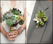 www.floristic.ru - Флористика. Суккуле́нты (Succulentus)