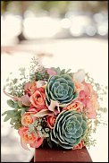 www.floristic.ru - Флористика. Суккуле́нты (Succulentus)