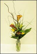 www.floristic.ru - .  