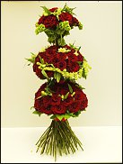 www.floristic.ru - .  