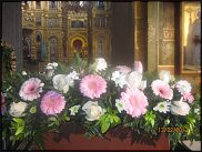 www.floristic.ru - .  