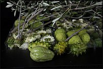 www.floristic.ru - .       "  "   13.11.2010