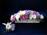 www.floristic.ru - .  .