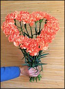 www.floristic.ru - .   