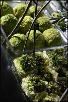 www.floristic.ru - .       "  "   13.11.2010