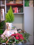 www.floristic.ru - .   