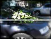 www.floristic.ru - .  