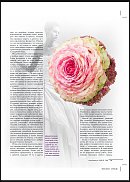 www.floristic.ru - .  