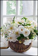 www.floristic.ru - .   - 