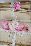 www.floristic.ru - .  - Ranunculus