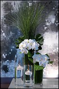 www.floristic.ru - .  .