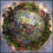 www.floristic.ru - Флористика. БОЛТАЛКА :)