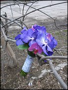 www.floristic.ru - .  .