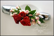 www.floristic.ru - .  