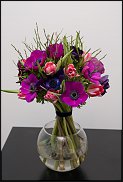 www.floristic.ru - . .....